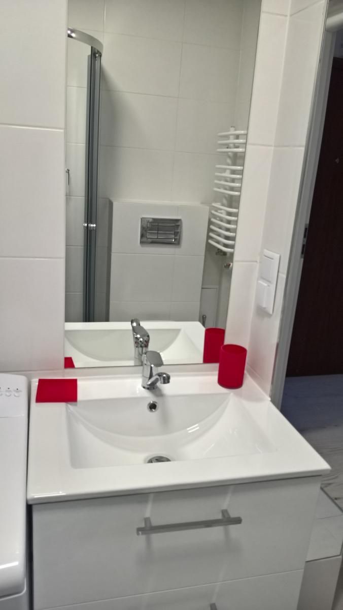 Studio #11 – 32 m² - sink mirror