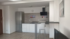 location-szczecin-studio-14-1-kitchen-bar