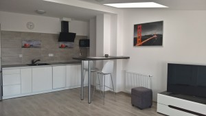 location-szczecin-studio-14-5-kitchen-bar-tv