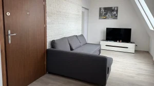 location-szczecin-studio-12-1-living-room