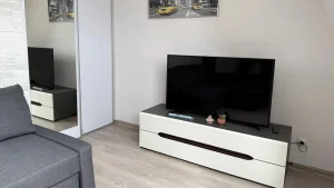 location-szczecin-studio-12-sofa-tv1